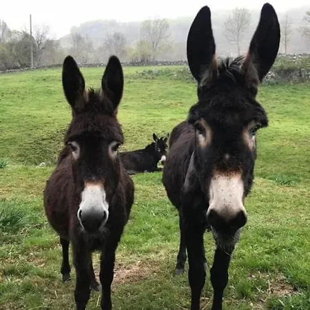 Holiday home Pasiega Reformada