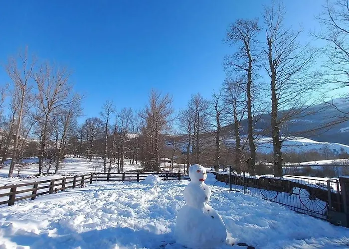 Pasiega Reformada Casa de Férias Bárcenas
