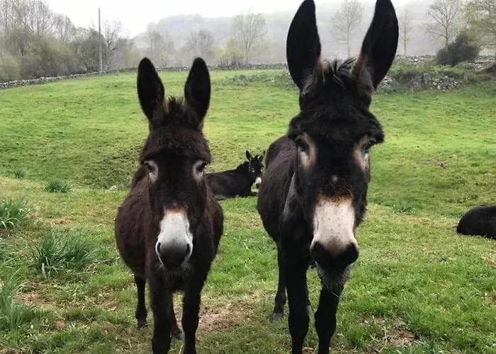 Casa de Férias Pasiega Reformada